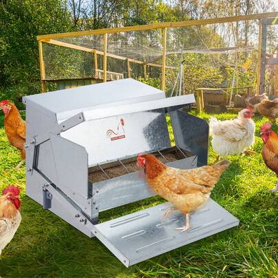 Automatic Chicken Feeder, 25 Lbs Capacity Feeds 10 Chickens Up To 11 Days, Galvanized Steel Poultry Feeder
