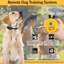 Pet Basic Dog Collars - Type4 - View 4