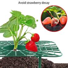 10 PCS Strawberry Plant Support Holder Plastic Strawberry Cradle Lifter For Garden Raised Bed & Container(9.8*7.9*3.9in) - Xanh lá cây-25*20*10cm - Xem 4