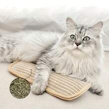 耐用的猫玩具枕头和猫抓板 - 防咬咬床罩，适合小猫，柔软，驱蚊，适合所有品种和尺寸，玩耍和家具 - 互动式猫玩具，适合单独玩耍和亲密接触 - 米駝色 - 查看 4