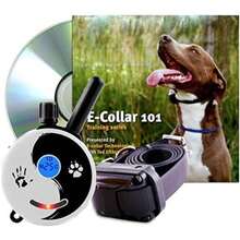 Educator Collar de entrenamiento para perros, control remoto, 100 niveles de estimulación, sensación de golpeo, luz nocturna, impermeable, recargable, 1 milla, negro(Zen 1 Dog) - Tipo 2 - Ver 2