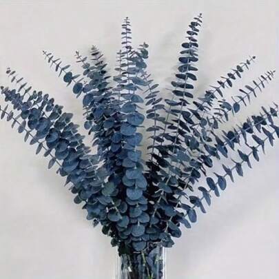5/10/15/20pcs Dried Preserved Blue Eucalyptus Branches, 17 Inches Tall, Natural Fresh Plant Bouquet - Glass Vase Filler, Suitable For Wedding, Party, Home And Office Decor - Long-Lasting Dried Flowers With Leaves, No Maintenance, Elegant Centerpiece For Vase Arrangements