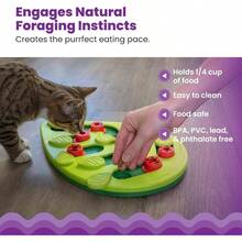 By Nina Ottosson Buggin Out Puzzle U2013 Interactive Treat Puzzle Feeder Cats, 16 Hidden Treat Compartments Slow Feeder, Durable Easy - Clean, 13 Inches, Green - Buggin Out - 查看 4