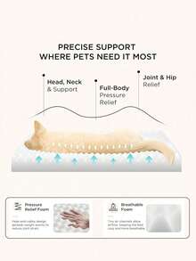 1pc Orthopedic Plush Dog Bed, Soft Cushion Pet Mat With Non-Slip Bottom, Durable And Machine Washable, Suitable For Large/Medium/Small Dogs And Cats, All Seasons - Brown - View 5