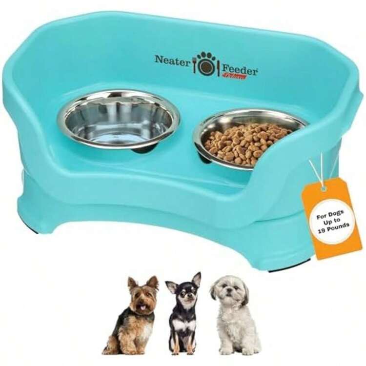 Neater Feeder Deluxe Small Dog (Cranberry) - Mess Proof Elevated Bowls No Slip Non Tip Double Diner Stainless Steel Dish with Stand(Pequeño Aguamarina (Aquamarine)) - Tipo 3 - Añade 2