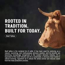 50g Men's Moisturizing Face Cream, Fast Absorbing, Highly Moisturizing, Leaves Skin Smooth And Fresh, Non-Greasy, Relieves Dryness