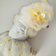 1件宠物连衣裙，轻薄夏季宠物薄纱连衣裙，适合狗狗、贵宾犬、比熊犬、泰迪犬、约克夏梗犬、雪纳瑞犬、小型犬等。 - 白色 - 查看 8