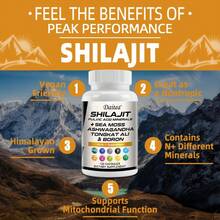 Suplemento de Shilajit de máxima potencia con algas marinas, ashwagandha y multiminerales: favorece la función cerebral y  niveles de energía - 120 cápsulas - 1 botella - Ver 4