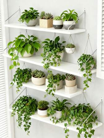 1-delad multifunktionell trähylla med nordisk, vit minimalistisk design, lager-på-lager-layout och detaljer utan borrning, gott om kapacitet för att visa upp och förvara flera krukväxter. Lämplig för heminredning i vardagsrummet eller som en vertikal trädgård på balkongen, vilket ger fräschör och vitalitet till utrymmet.