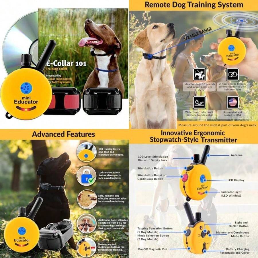 Pet Basic Dog Collars - Type4 - View 1