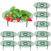 10 PCS Strawberry Plant Support Holder Plastic Strawberry Cradle Lifter For Garden Raised Bed & Container(11.8*11.8*3.9in) - 綠色-30*30*10cm - 查看 2