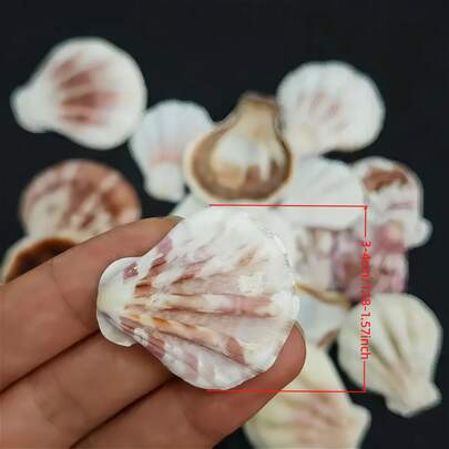 50/152/200g 天然扇贝壳碎片 - 预切贝壳工艺品，具有复杂的扇贝边缘和锯齿状内层，节日装饰，节日礼物，适用于 DIY 马赛克、风铃、婚礼装饰、珠宝制作 - 棕色、粉色、白色、米色、金色、灰色、黑色 - 沿海家居装饰、派对工艺品、情人节礼物、海滩主题物品 - 耐用且易于使用的工艺材料