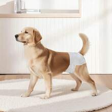 Disposable Dog Diapers, Super Absorbent Female Dog Diapers, 360° Leak-Proof Female Doggy Pet Diaper With Wetness Indicator For Heat Period, Training, Incontinence - M, 96 Count (2 Packs Of 48) - M Size 96 Count (2 Packs Of 48) - View 1