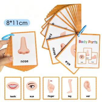 A Set Of 50 Random English Body Part Flash Cards, English Word Cards, Children's Early Education English Learning Cards, Including Daily Life, Emotions, Clothing, Occupation, Food, Numbers, Animals, Colors And Shapes, Fruits And Vegetables English Word Flash Cards