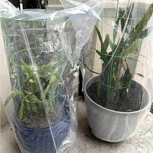Cubierta protectora de invierno para plantas, transparente, reutilizable, para exteriores, a prueba de heladas, para jardín, para plantas y vegetales. - Blanco - Ver 4