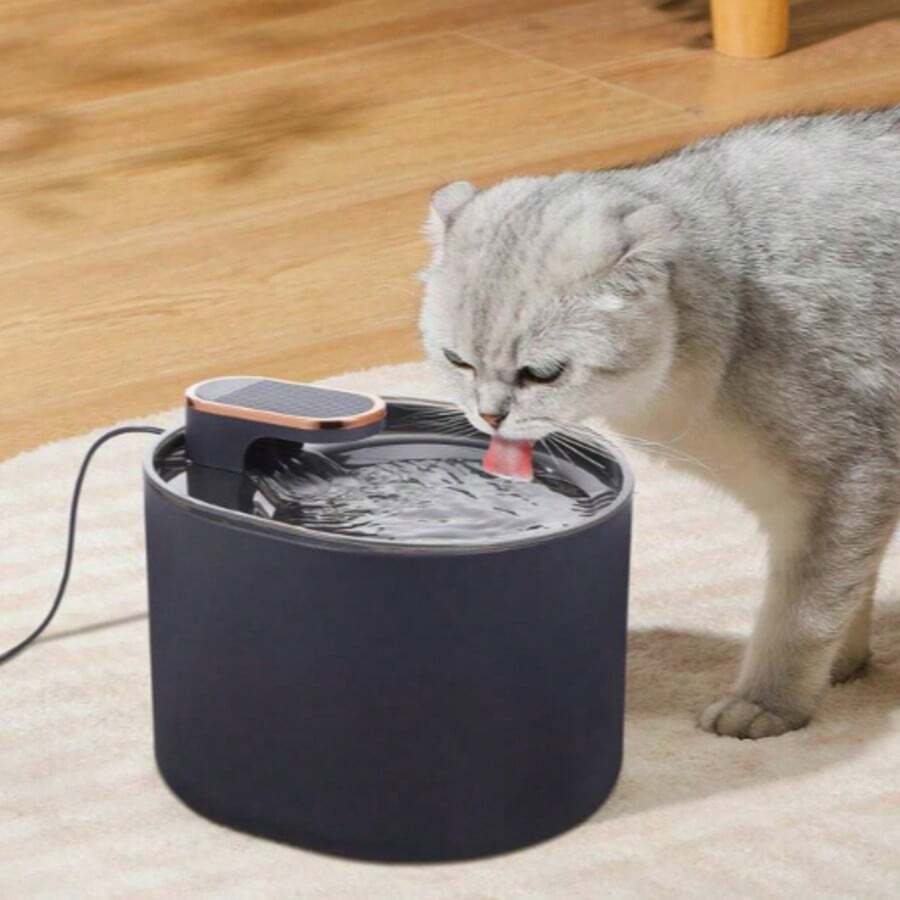 Dispensador de agua para mascotas. - Negro - Ver 1