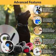 Pet Basic Dog Collars - Type5 - View 3