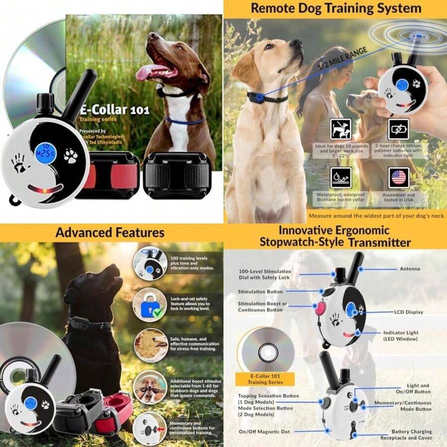 Pet Basic Dog Collars - Type5 - View 1