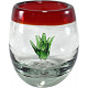 Posta Rojo - Agave
