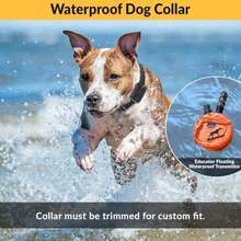 Pet Basic Dog Collars - Type6 - View 6