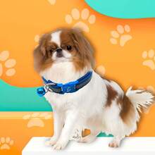 ELE-GATE Collar Reflectante con Campana para Mascotas - Multicolor - Ver 4