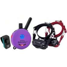 Pet Basic Dog Collars - Type1 - View 2