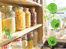 Pantry Moth Traps With Pheromone Attractant, 6 Pack Adhesive Traps