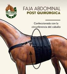 FAJA ABDOMINAL PARA CABALLO - Negro - Ver 5