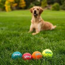 Outward Hound Squeaker Ballz 4-Pack Tennis Ball Dog Toys With Squeaker, Interactive Fetch Play For Pets Under 50 Lbs, Training Balls For Indoor &Amp; Outdoor Exercise, Medium, 25-Inch - MàuF - Xem 6