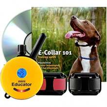 Pet Basic Dog Collars - Type4 - View 2