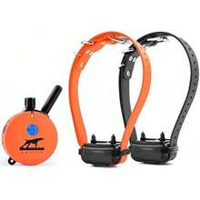 Pet Basic Dog Collars - Type6 - View 2