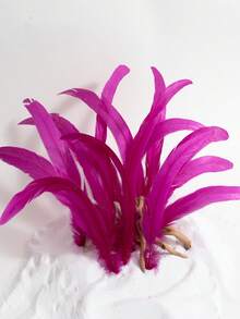 30 Pieces Of 12-14 Inch Bleached And Dyed Rooster Tail Feathers, High-Quality Natural Feathers Suitable For Carnival Costumes, Home Decoration, Bohemian Wedding Decoration, Festival Headdresses And Flower Arrangement DIY Handicrafts Selected Grade Feathers, A Variety Of Colors To Choose From - 玫紅色 - 查看 1