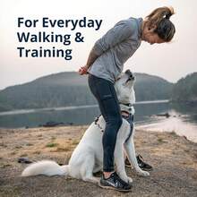 HP604-- 狗用背带，反光软垫日常背带，带双牵引带夹，可调节，轻便，适合所有狗狗夜间训练或散步时使用，反光