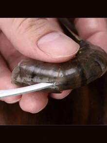 1pc Stainless Steel Shrimp Deveiner - Easy To Clean Seafood Preparation Tool, Effectively Removes Shrimp Shells And Veins, Essential For Home Kitchen And Outdoor Camping