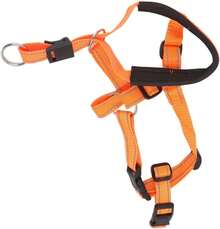 CHICIRIS Collar de Cabeza de Perro Transpirable, sin Tirar, Correa, Bozal de Boca, Arnés con Correa Ajustable para Perros Pequeños, Medianos y Grandes (L) - Rojo - Ver 7