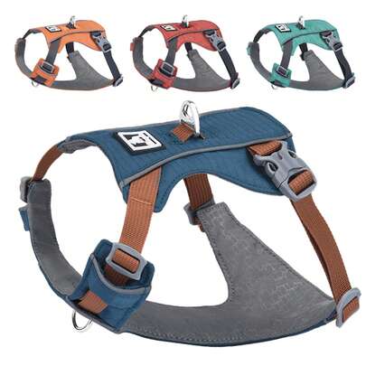 HP604-- 狗用背带，反光软垫日常背带，带双牵引带夹，可调节，轻便，适合所有狗狗夜间训练或散步时使用，反光