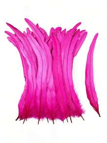 30 Pieces Of 12-14 Inch Bleached And Dyed Rooster Tail Feathers, High-Quality Natural Feathers Suitable For Carnival Costumes, Home Decoration, Bohemian Wedding Decoration, Festival Headdresses And Flower Arrangement DIY Handicrafts Selected Grade Feathers, A Variety Of Colors To Choose From - 玫紅色 - 查看 4