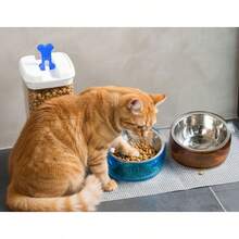 Felli Pet Oblik Whisker Fatigue Cat Bowl Stainless Steel Shallow Flat Plate For Dry Wet Food Elevated Acrylic Base With Treats Storage Anti Vomiting No Slip Feeder Slanted 0.5Cup Sapphire