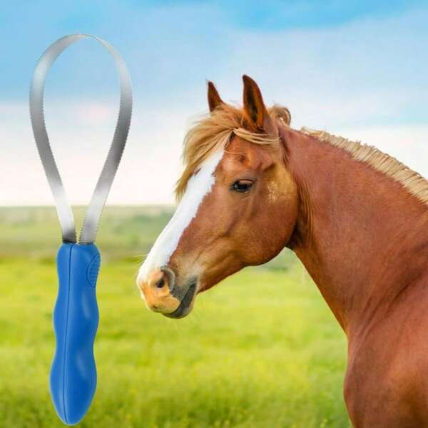 Cepillo para perros de doble cara desmontable - Herramienta de aseo de acero inoxidable con agarre, adecuada para ganado, ovejas, caballos, conejos y otros animales domésticos - Dientes finos adecuados para pelajes largos y cortos - Juguete volador para gatos Flappy Bird