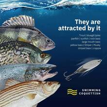 Señuelos de Pesca para Trucha, señuelos de Pesca para Trucha, Lucio, Lucio, Lucio, pez y lucioperca, 1/8 onzas, 1/5 onzas, 1/4 onzas, 3/8 onzas, 1/2 onzas, 3/4 onzas, 5 Unidades - Gancho individual de color B - Ver 12