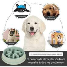 RFID Plato de Alimentación Lenta para Perro, Comedero Lento para Perro, Evitar la Asfixia, Mejora la Digestión,  y noóxico, Adecuado para Perros y Gatos de tamaño pequeño y Mediano (Azul) - Amarillo - Ver 11