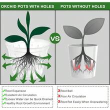 Orchid Pot 5 Inch 6 Pack Orchid Pots With Holes And Saucers Clear Plastic Orchid Pots - 5不清楚 - 查看 4