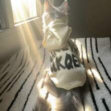 1pc Dog Hoodie, Beige & Navy Blue Contrast, Warm For Autumn/Winter, Made Of Polyester - Multicolor - View 5