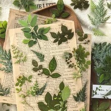 1卷（40张）自粘PET塑料叶子贴纸 - 光面植物图案，包含草本植物、蕨类植物和常春藤图案，适用于日记、剪贴簿和压花。 - 綠色 - 查看 4