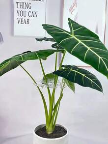 1/2/3 Packs Heavy-Duty Plant Support Stakes - Foldable Stem Clips With Adjustable Locking, Garden Stabilizer For Indoor/Outdoor Plants, Space-Saving Design For Monstera & Flowers (Perfect Gardening Gift) - Multicolor - View 3