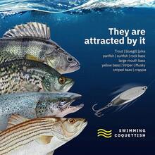 Señuelos de Pesca para Trucha, señuelos de Pesca para Trucha, Lucio, Lucio, Lucio, pez y lucioperca, 1/8 onzas, 1/5 onzas, 1/4 onzas, 3/8 onzas, 1/2 onzas, 3/4 onzas, 5 Unidades - Gancho individual de color B - Ver 5