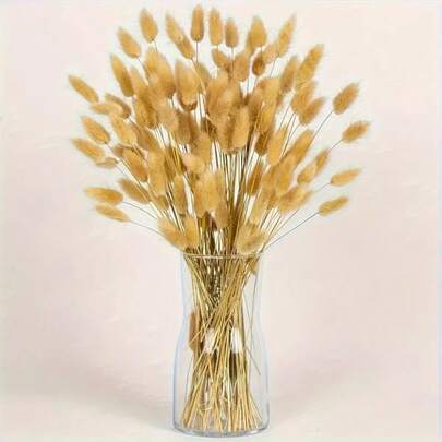 60/120/180/240pcs Natural Dried Flowers Decor, Natural Dried Rabbit Tail Grass, Dried Cattail, For Home Decor, Wedding Decor, Party Decor, DIY Crafts, Photography Props, Theme Decor, 17.7 Inches (White)