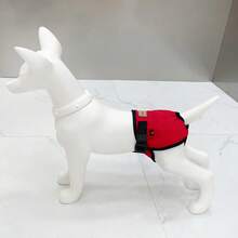 新款可调节月经内裤，礼貌狗设计，防漏，防骚扰 - 彩色 - 查看 4