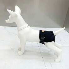 新款可调节月经内裤，礼貌狗设计，防漏，防骚扰 - 彩色 - 查看 3