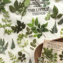 1卷（40张）自粘PET塑料叶子贴纸 - 光面植物图案，包含草本植物、蕨类植物和常春藤图案，适用于日记、剪贴簿和压花。 - 綠色 - 查看 2